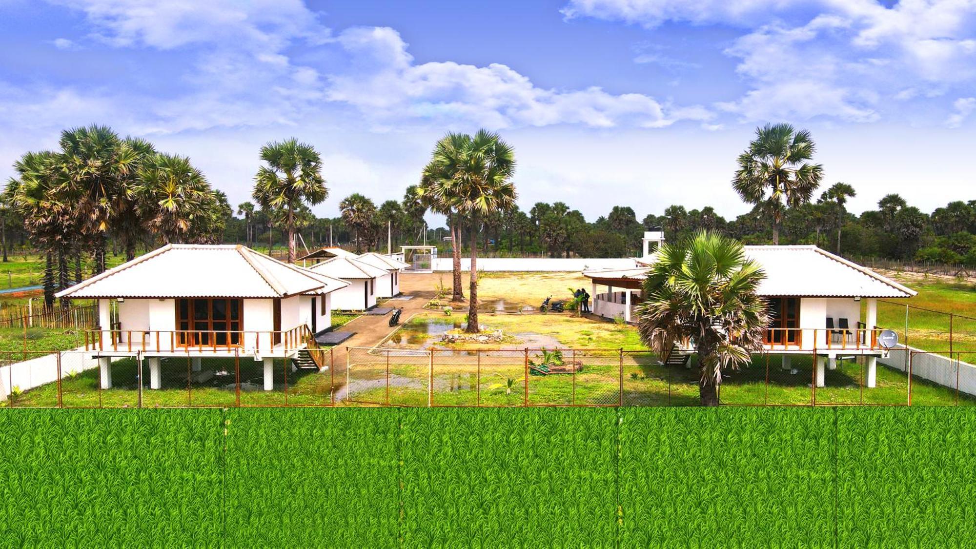 Palm Beach Resort Ceylon Τζάφνα Εξωτερικό φωτογραφία